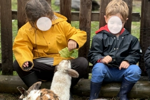 Respect for nature in a Bilingual Private Primary and Preschool School