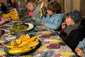 Nutrition: A Vital Pillar for Children's Success